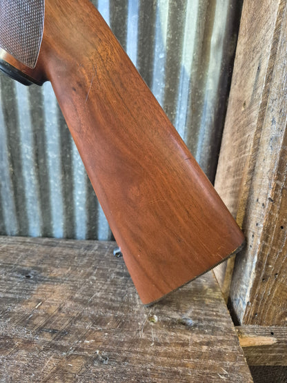 Ruger M77/22 .22lr