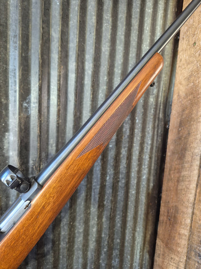 Ruger M77/22 .22lr