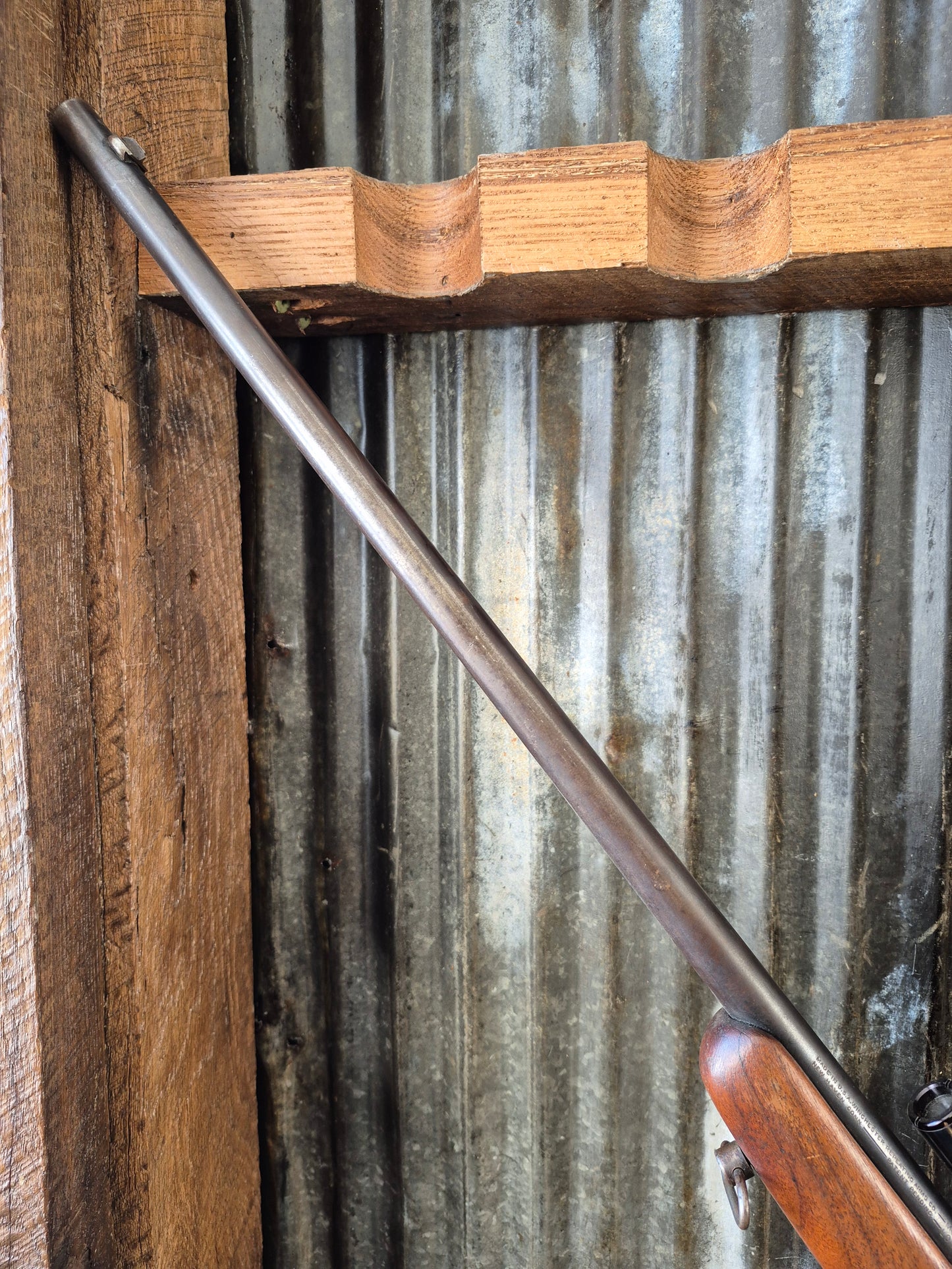 Winchester model 69