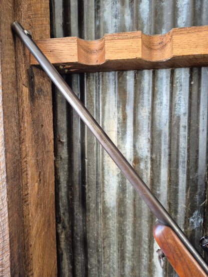Winchester model 69