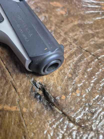 Bersa Thunder .380