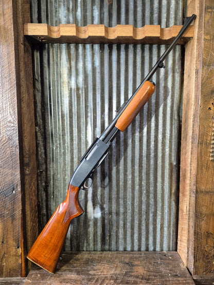 Remington 760 Gamemaster 270 win.