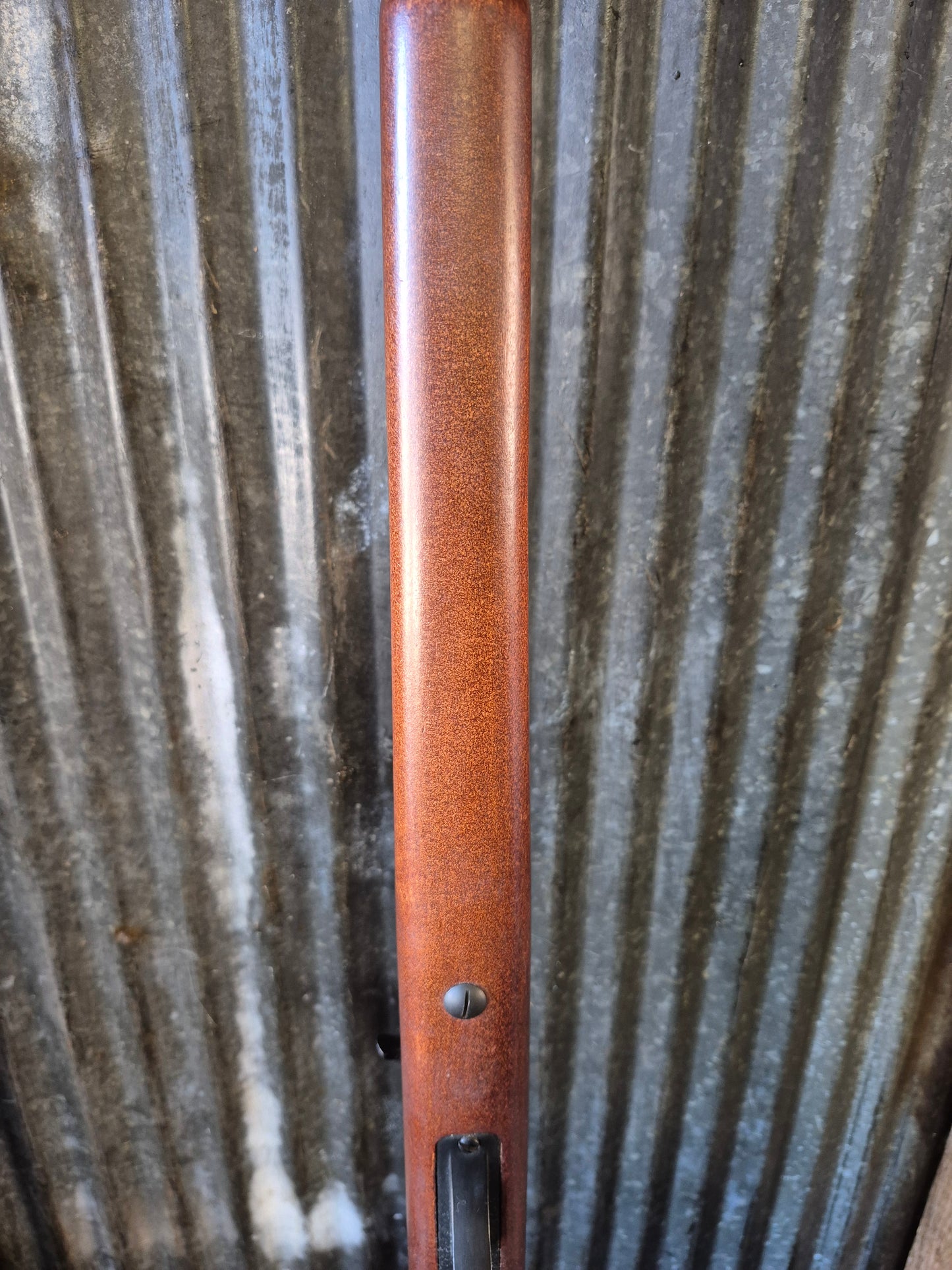 Marlin Glenfield Model 60