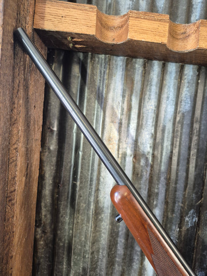 Ruger M77/22 .22lr