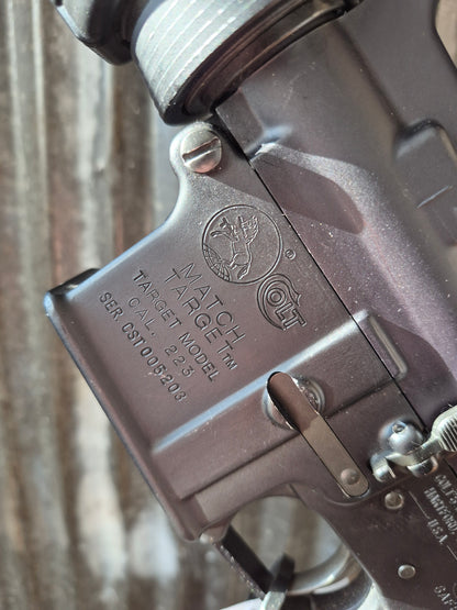 Colt Match Target
