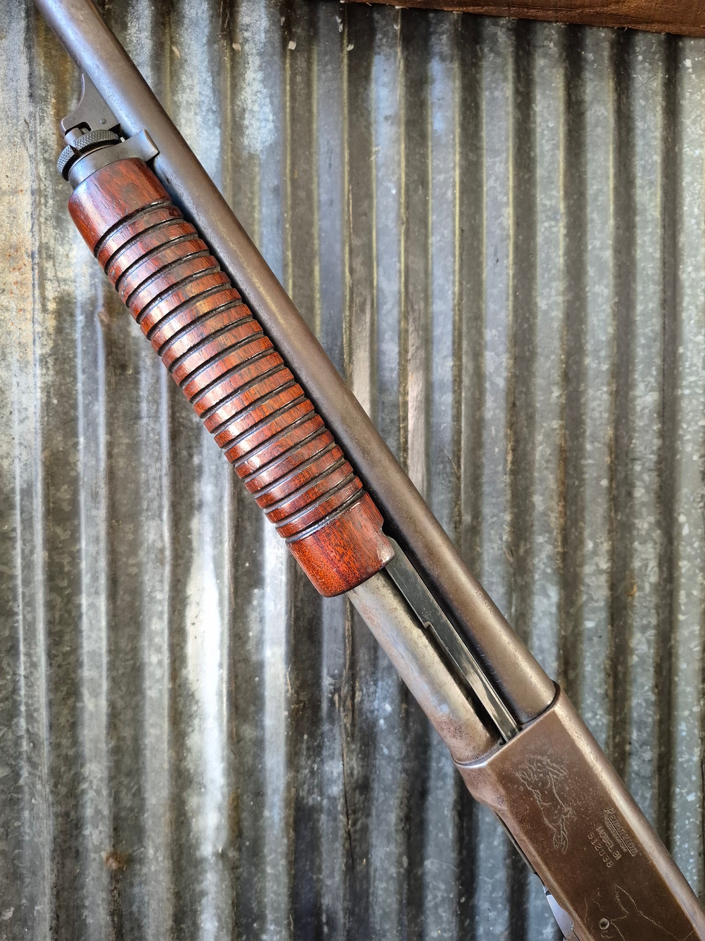 Remington model 31 .16ga