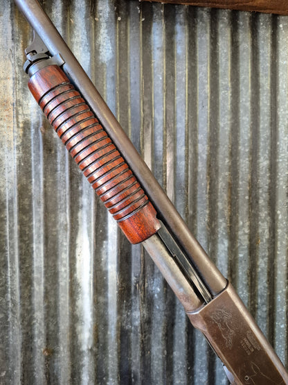 Remington model 31 .16ga