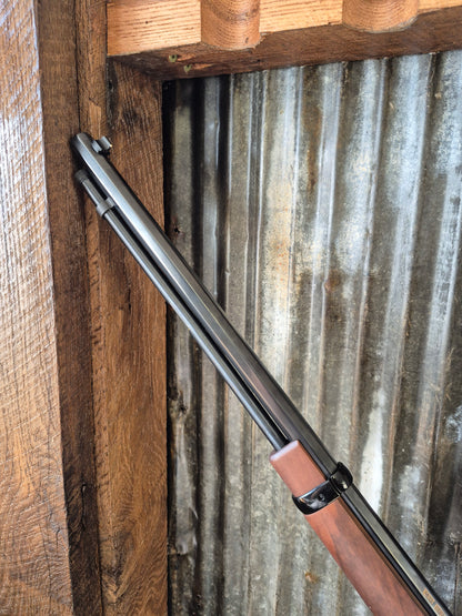Henry Big Loop 22lr and 12 Ga Single Shot