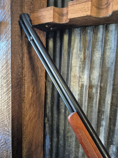 Marlin Glenfield Model 60