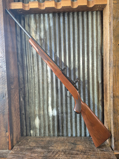 Ruger M77/22 .22lr