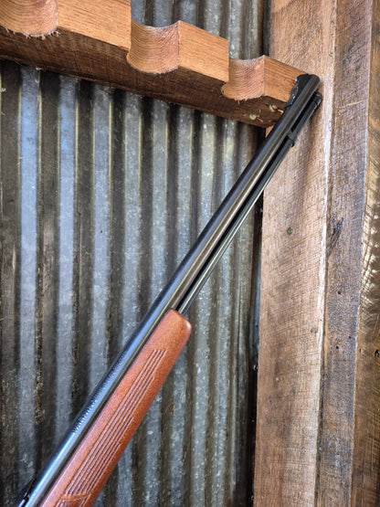 Marlin Glenfield Model 60