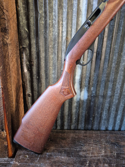 Marlin Glenfield Model 60
