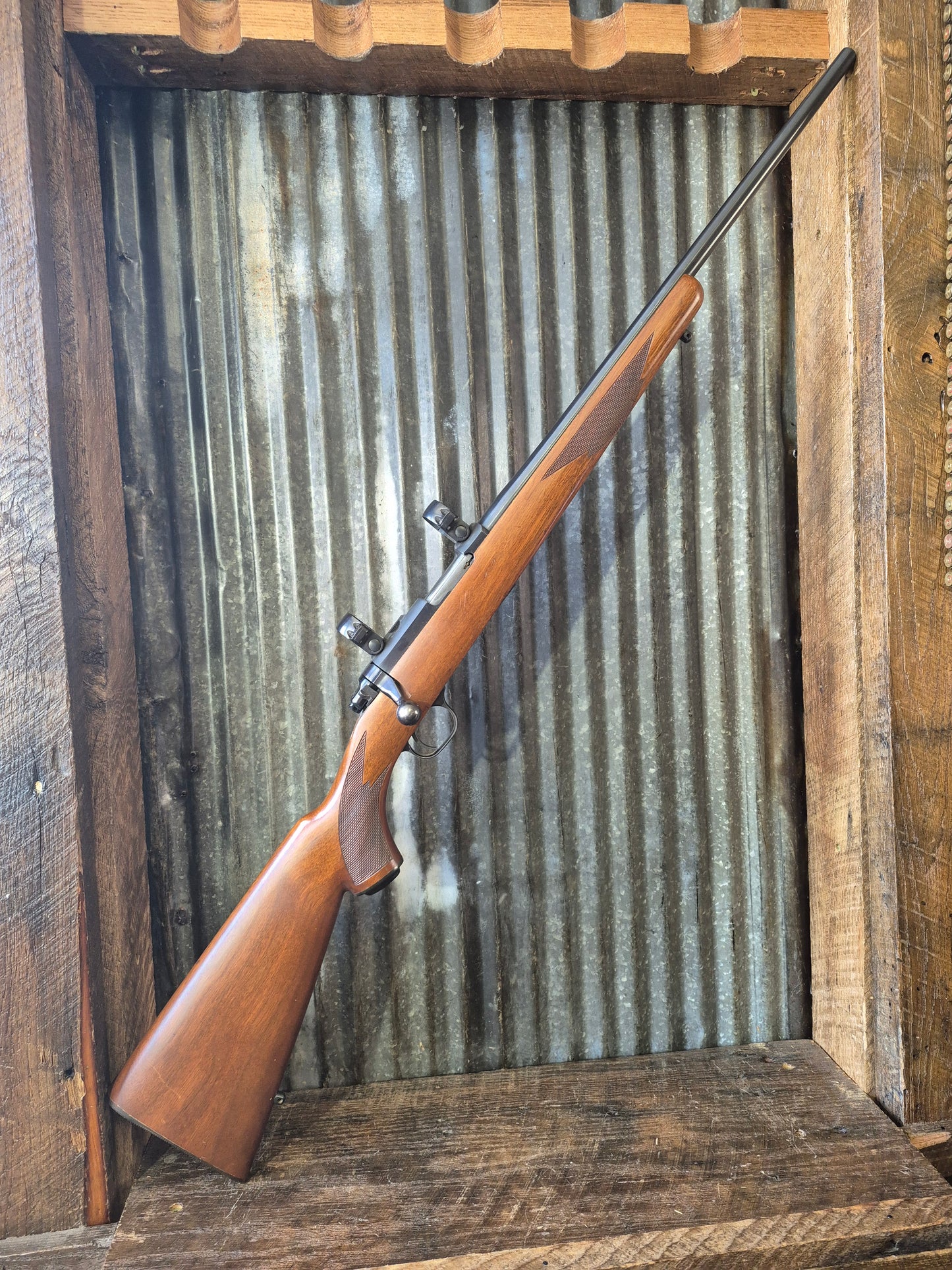 Ruger M77/22 .22lr