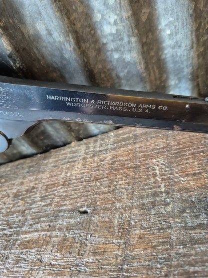 H&R "Sportsman" 22lr