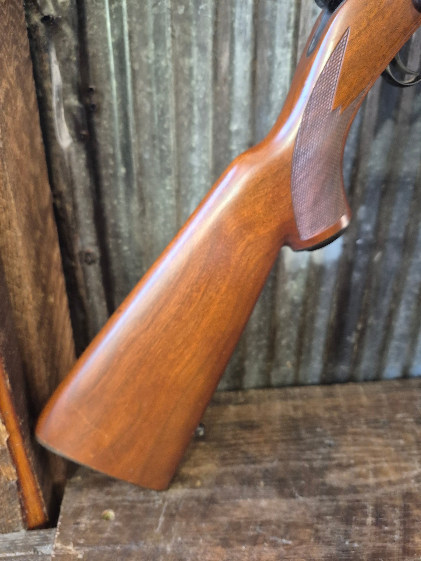 Ruger M77/22 .22lr