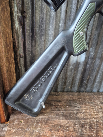 Ruger M77/22 Zytel