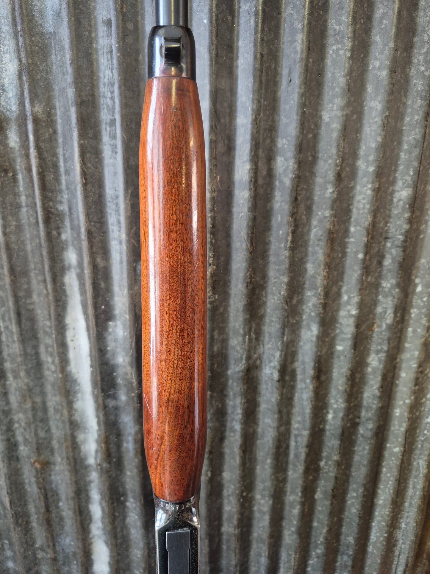 Winchester 64A 30-30