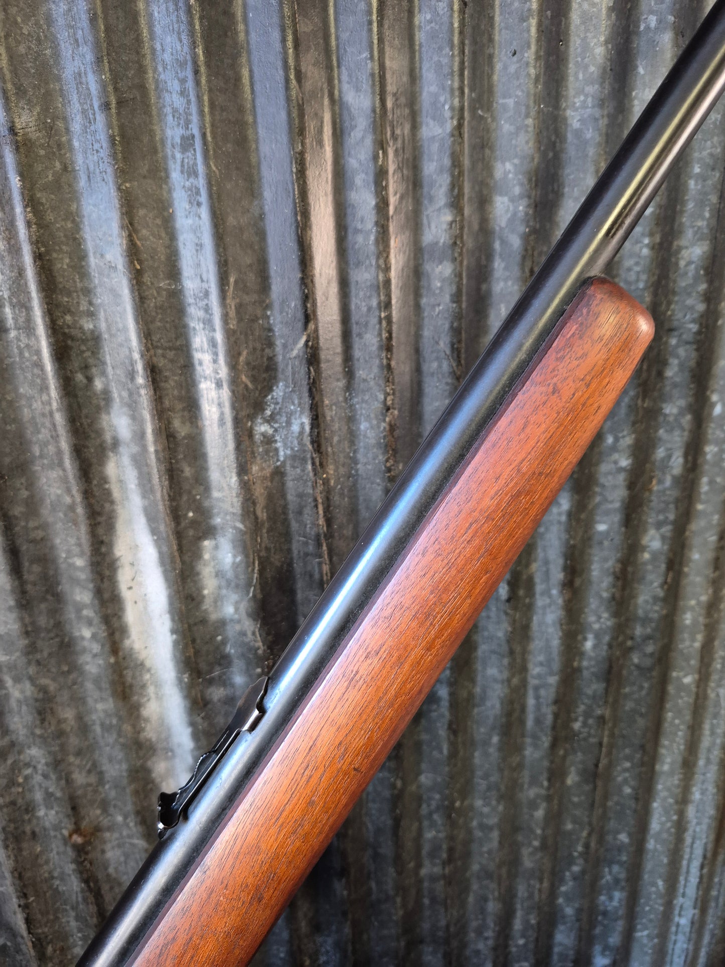 Winchester model 67