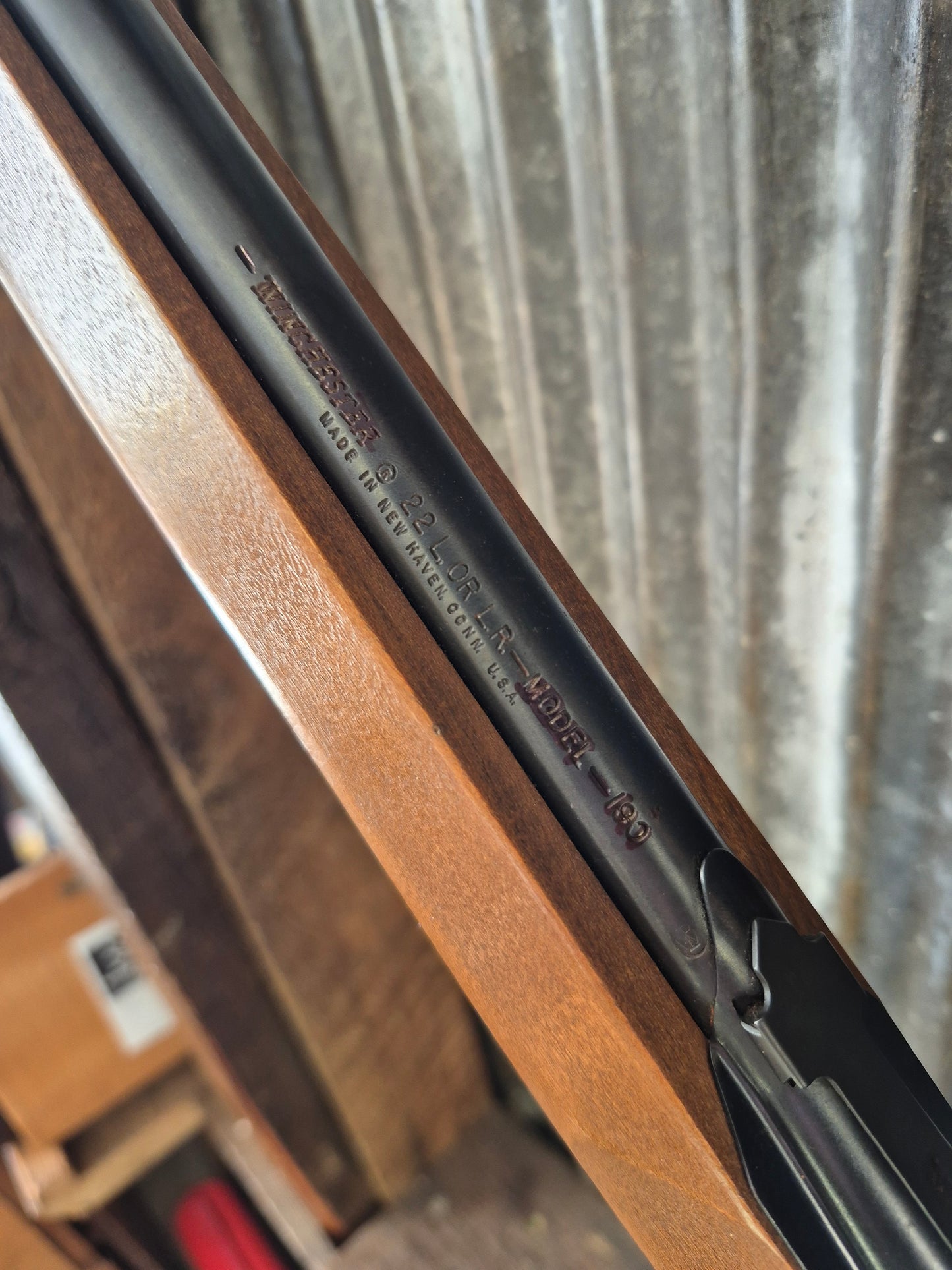 Winchester model 190 .22lr