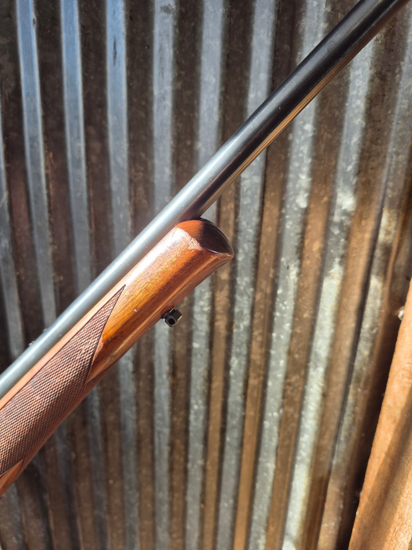 Remington Model 7 .243Win