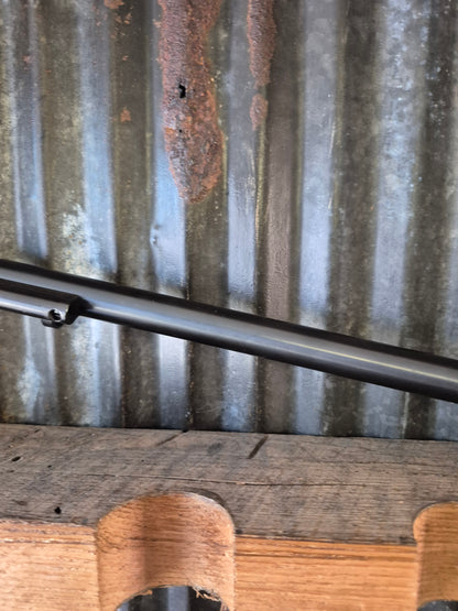 Heritage Rough Rider Buntline 22wmr