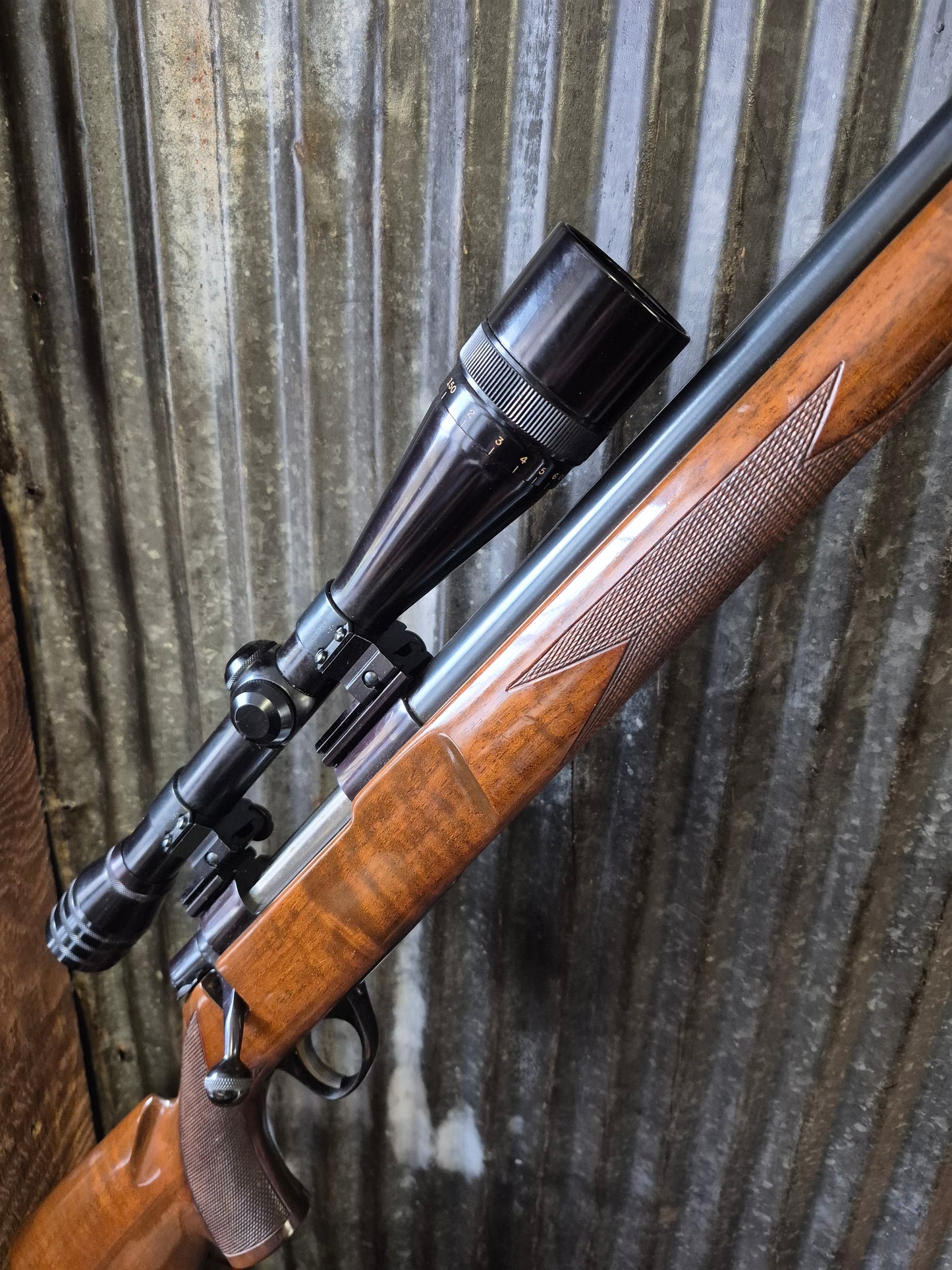 Sako L579 Heavy Barrel Varmint. 243win