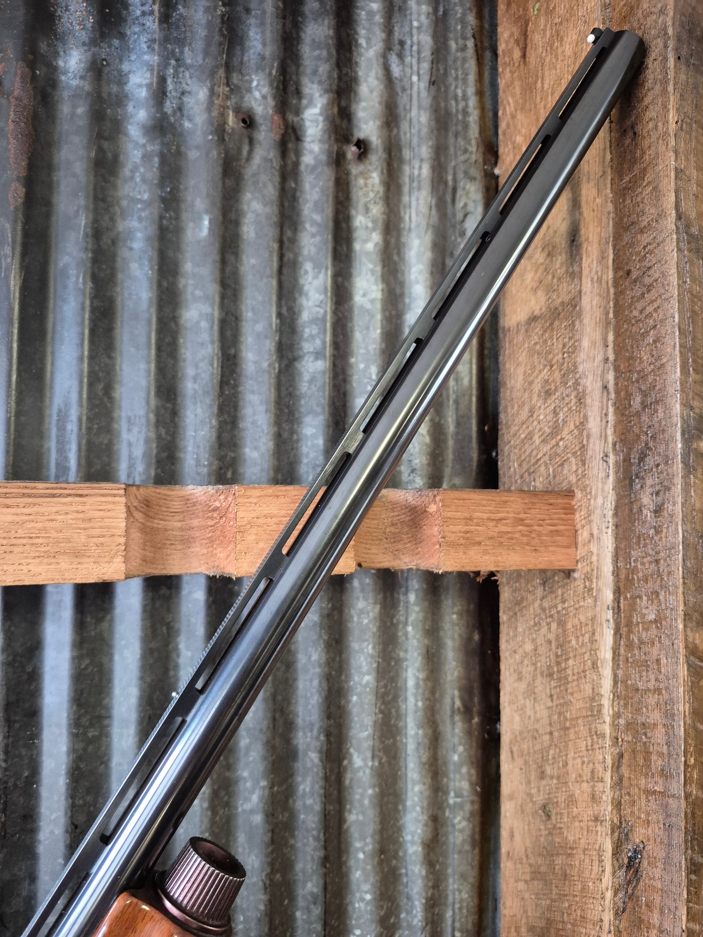 Remington 1100 LT-20 20ga