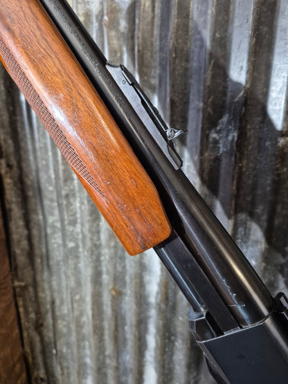Remington 760 Gamemaster 270 win.