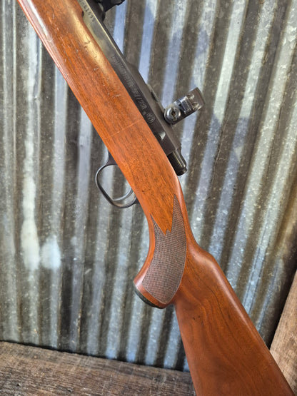 Ruger M77/22 .22lr