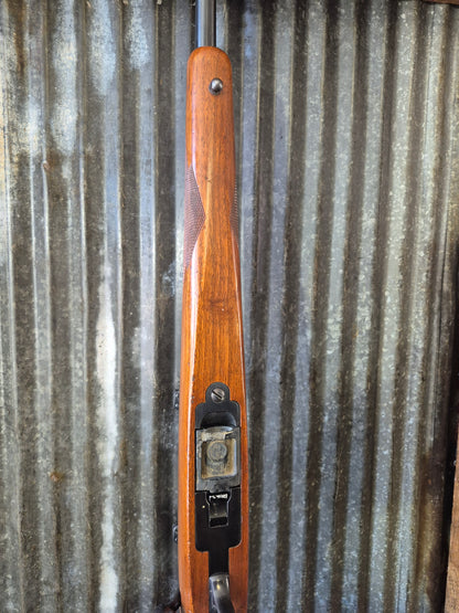 Ruger M77/22 .22lr