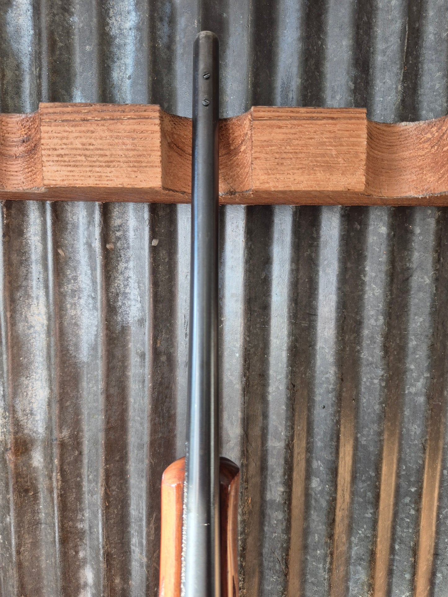 Remington Model 7 .243Win