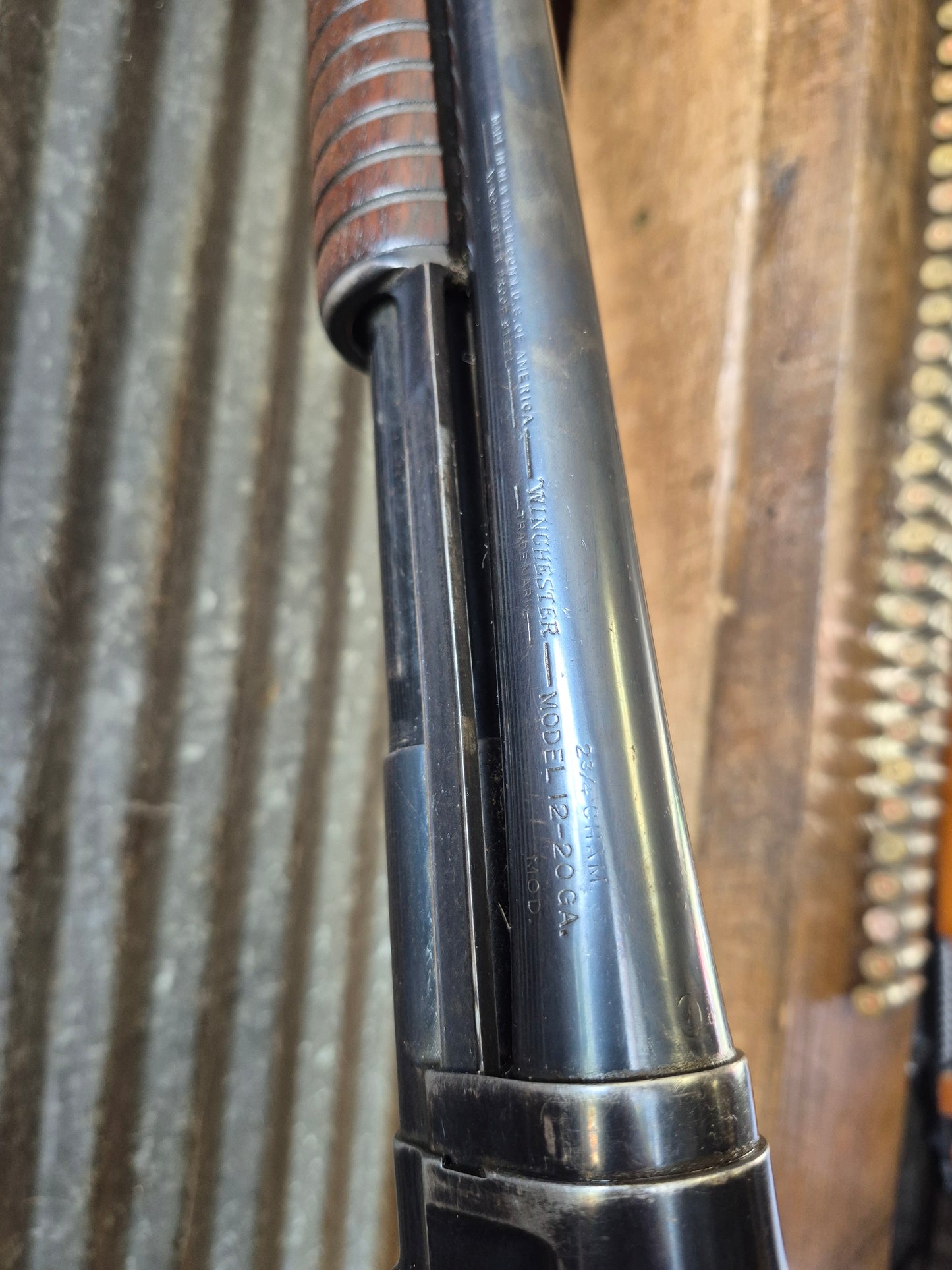 Winchester model 12 20ga
