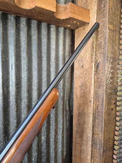 Ruger M77/22 .22lr