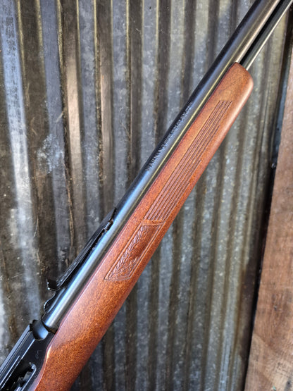 Marlin Glenfield Model 60