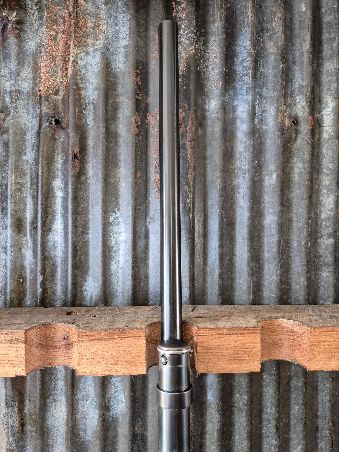 Winchester model 1897 16ga