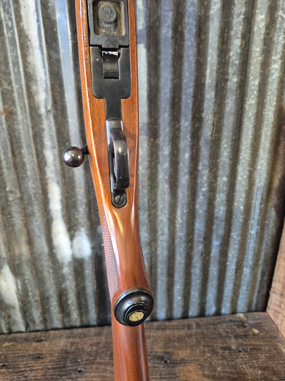 Ruger M77/22 .22lr