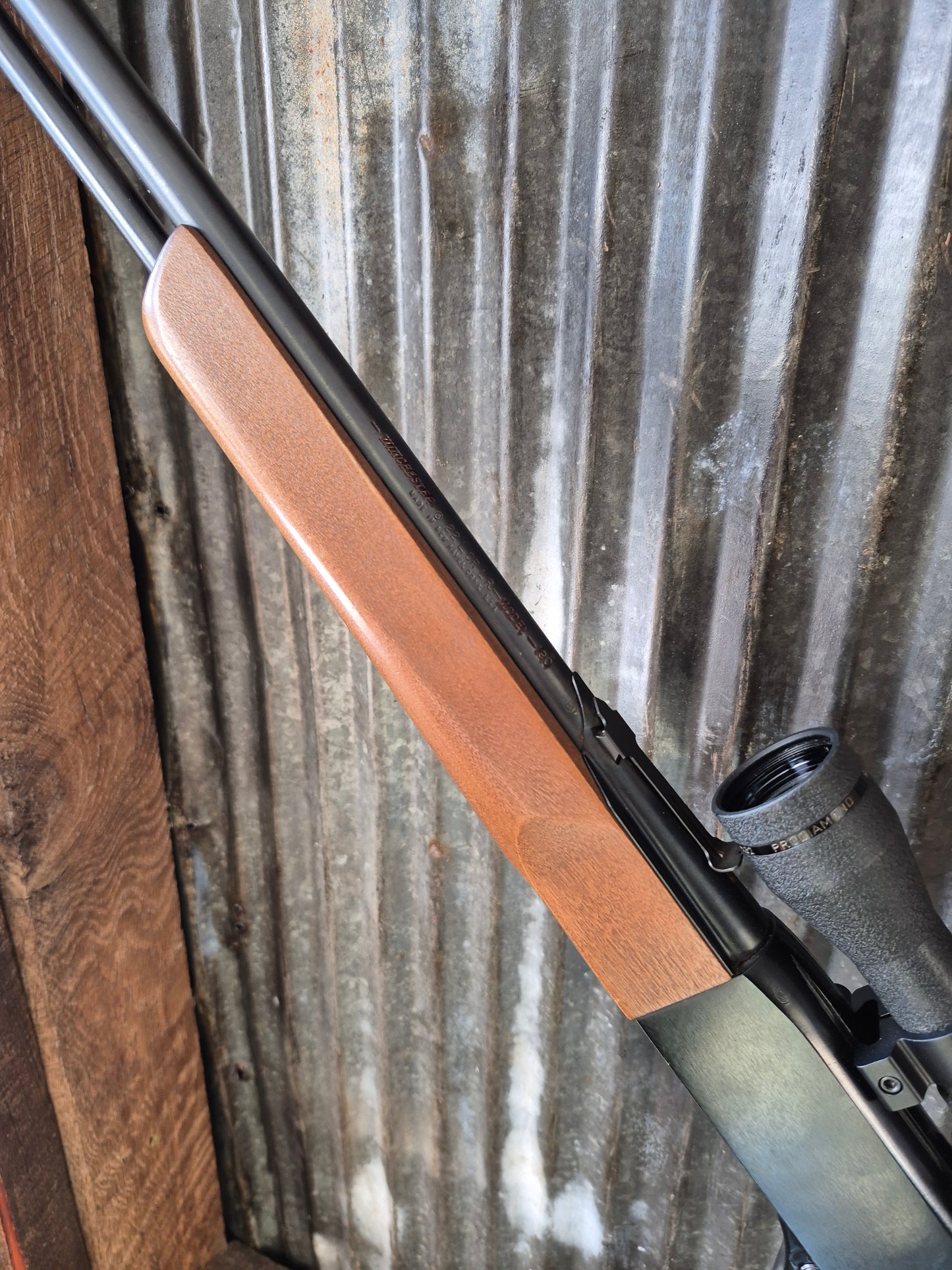 Winchester model 190 .22lr