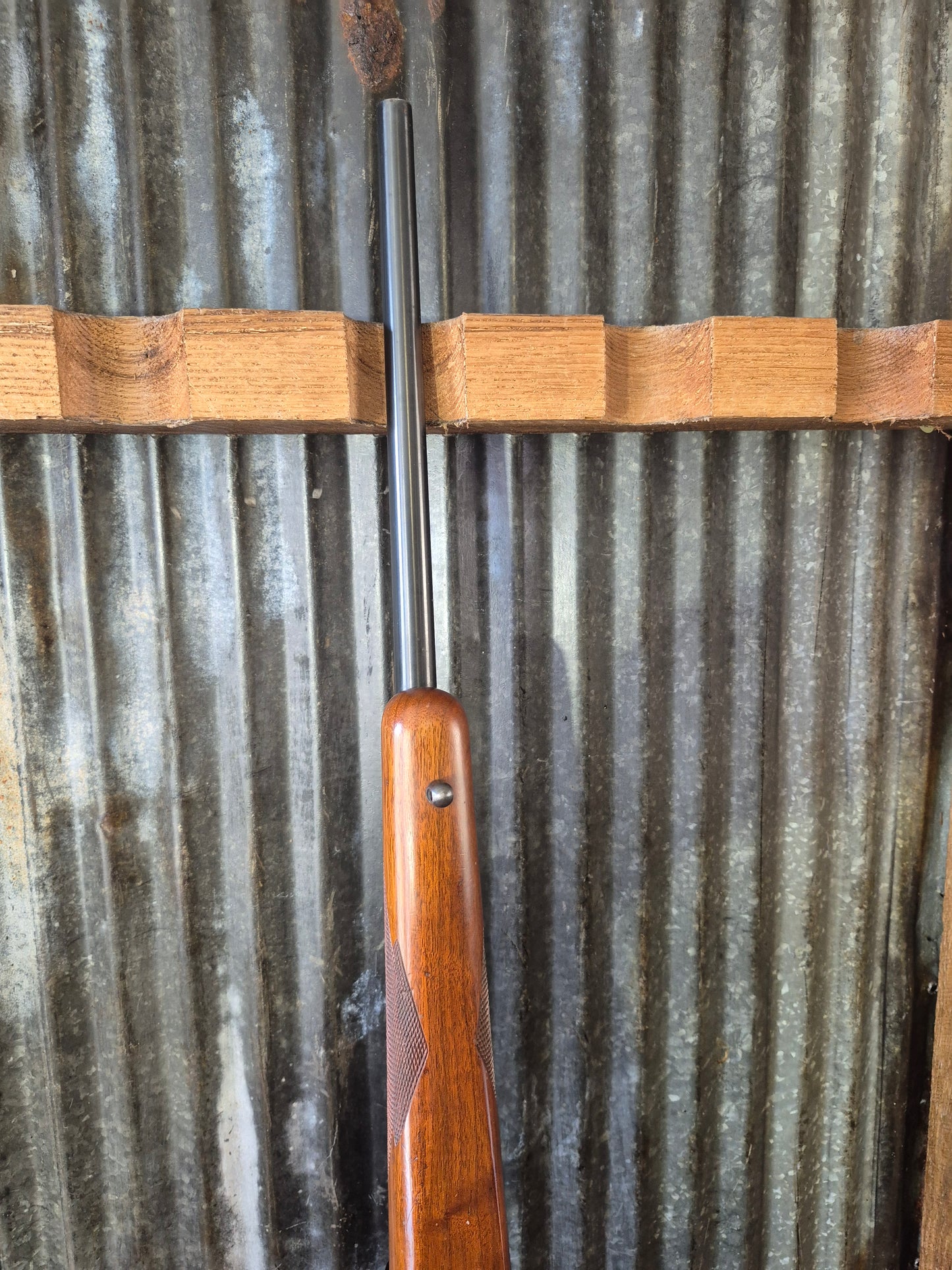 Ruger M77/22 .22lr