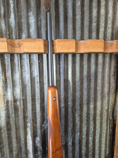 Ruger M77/22 .22lr